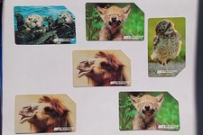 Schede telefoniche animali usato  Enna