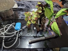 Aquarium air pumps for sale  LEEDS