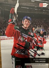 Del alexander blinger gebraucht kaufen  Augsburg