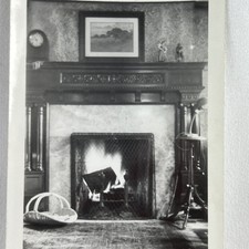 Roaring fireplace ornate for sale  Comfrey