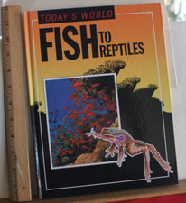 Todays fish reptiles for sale  Morgan Hill