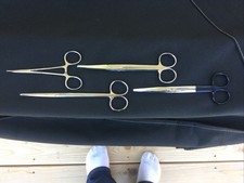forceps for sale forceps for sale Omaha