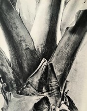 Abstract study banana for sale  LONDON