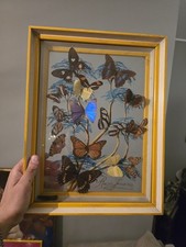 Quadro diorama con usato  Melzo