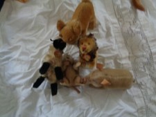 Steiff tiere gebraucht kaufen Steiff tiere gebraucht kaufen  Euskirchen