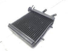 Radiatore acqua liquido usato  Viareggio