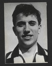 covili gino usato covili gino usato Villanova Monferrato