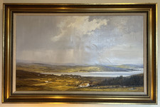 Denis mcdowell kerrykeel for sale  NEWTOWNARDS