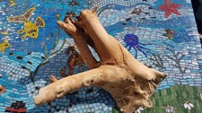 Natur wurzel holzwurzel gebraucht kaufen  Oberasbach