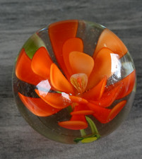 Small orange flower for sale  Fort Mill
