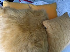 Mixed yellow scatter for sale  DURHAM