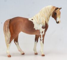 chestnuts horse for sale  Tucson