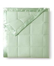Cobertor King de microfibra Royal Luxe clássico verde luz para baixo calor comprar usado  Enviando para Brazil