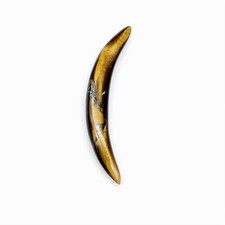 piercing septo comprar usado  Enviando para Brazil