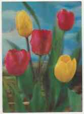 244 blumen tulpen gebraucht kaufen  Prösen