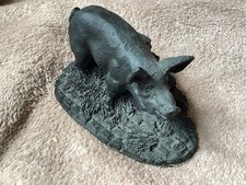 Pot bellied pig. for sale  JARROW