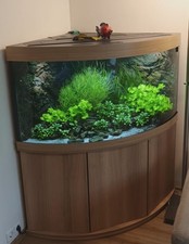 Eckaquarium komplett juwel gebraucht kaufen  Rheinberg
