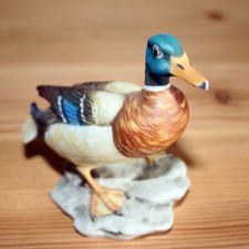 Stockende felzen ca1960 gebraucht kaufen  Bornich, Dahlheim, Kestert