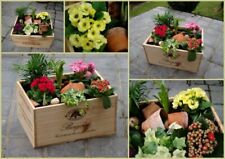 Garden planter. wooden for sale  CHIPPENHAM
