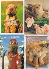 Lot cartes postales d'occasion  Bourg-de-Péage