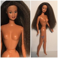 Barbie butterfly art for sale  Cary