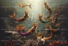 Underwater mermaid cats for sale  Colorado Springs