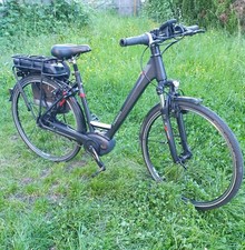 Pegasus solero zoll gebraucht kaufen  Waiblingen