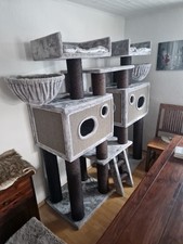 Kratzbaum royal cat gebraucht kaufen  Delligsen