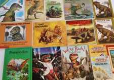 Dinosaur lot children for sale  Bassett