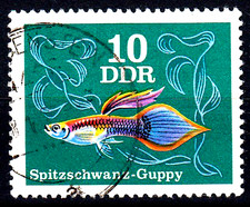 Deutschland ddr gestempelt gebraucht kaufen  Unna