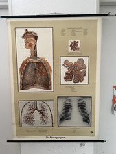 Schulwandkarte poster lehrkart gebraucht kaufen  Freiburg im Breisgau