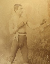 1880s handsome boxing for sale  Punta Gorda