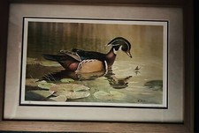 ned smith for sale  Edinboro