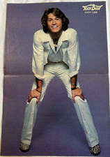 Andy gibb teen for sale  Newberry