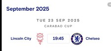 Carabao cup lincoln for sale  SUTTON