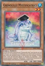 Grenouille mystificatrice sdfc d'occasion  Argenteuil