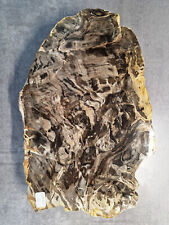 4kg versteinertes holz gebraucht kaufen  Weinböhla