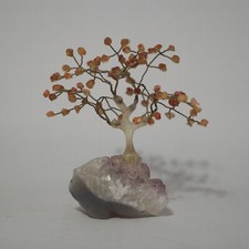 Glücksbäumchen edelsteinbaum gebraucht kaufen  Wolgast