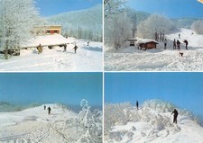 Al6 145 campigna usato  Lugo
