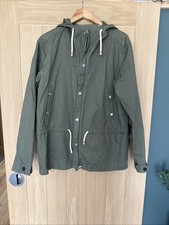 Pretty green olive for sale  WORCESTER