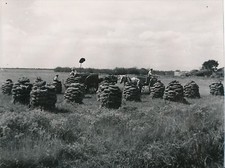 Vendée 1940 fuel d'occasion  Expédié en Belgium