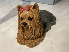 Sandicast large yorkie for sale  Saint Clair Shores
