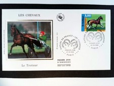 Trotteur chevaux 1998 d'occasion  Venelles