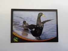 Figurina animal champions usato Figurina animal champions usato  Roma