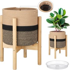 Sunnychicc indoor plant for sale  Charlotte