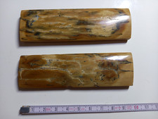 Mammouth fossilisé d'occasion  Avignon