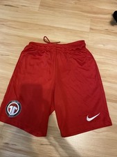 Nike kurze sporthose gebraucht kaufen  Oberriexingen