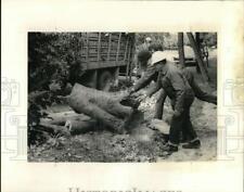 1977 press photo for sale  Memphis