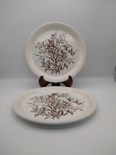 Vintage barratts staffordshire for sale  LONDONDERRY