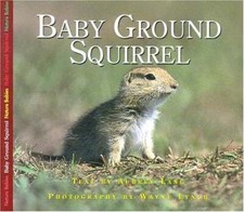 Baby ground squirrel for sale  Mishawaka